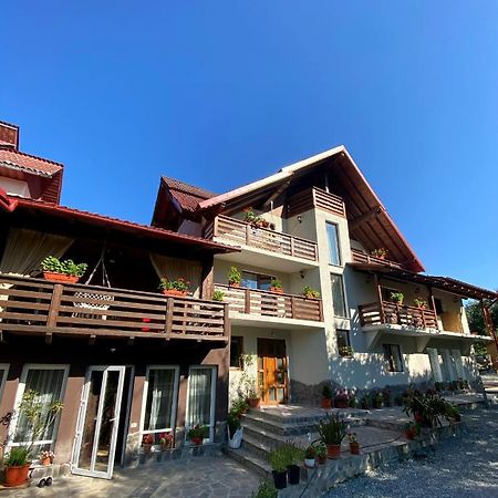 Vila Sorina Borşa 外观 照片