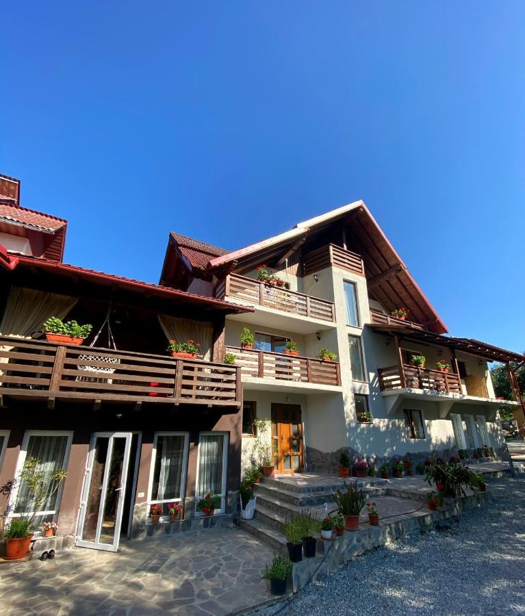 Vila Sorina Borşa 外观 照片