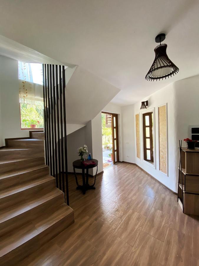 Vila Sorina Borşa 外观 照片