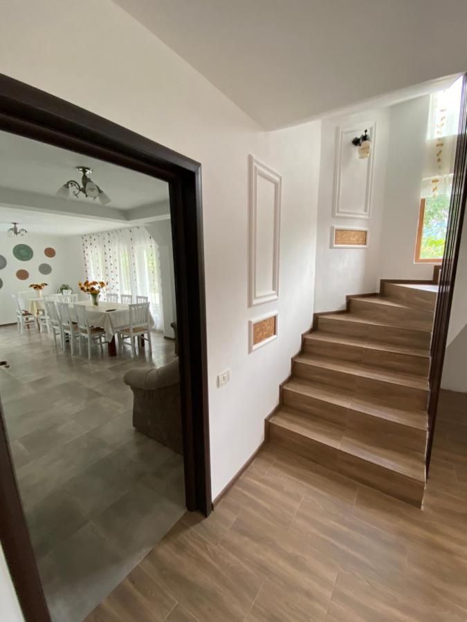 Vila Sorina Borşa 外观 照片