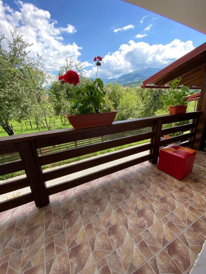 Vila Sorina Borşa 外观 照片