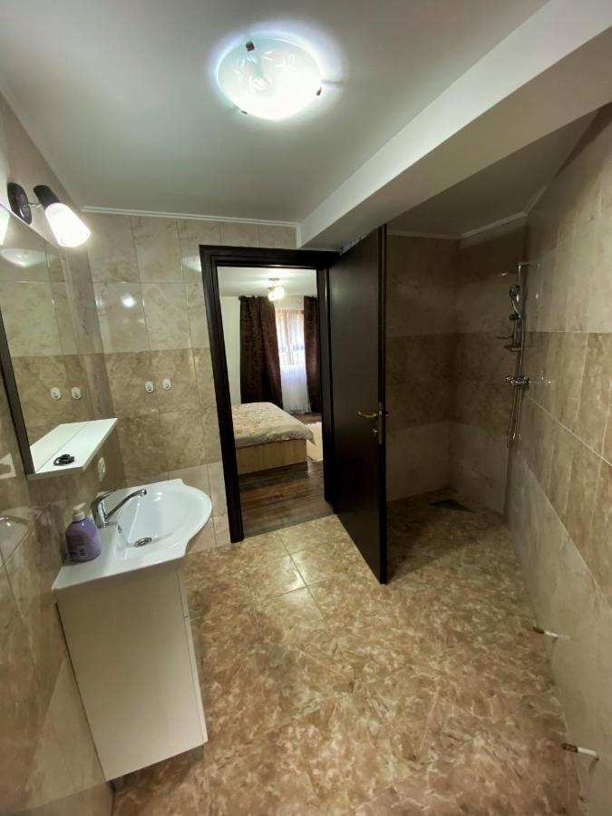 Vila Sorina Borşa 外观 照片