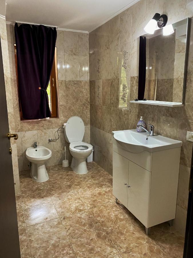 Vila Sorina Borşa 外观 照片