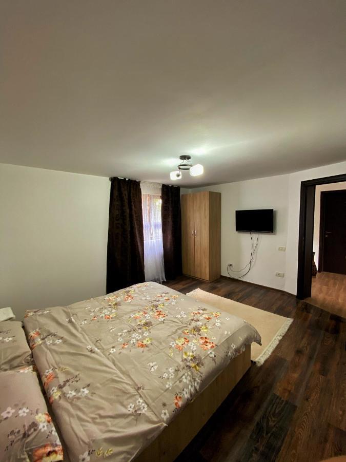 Vila Sorina Borşa 外观 照片