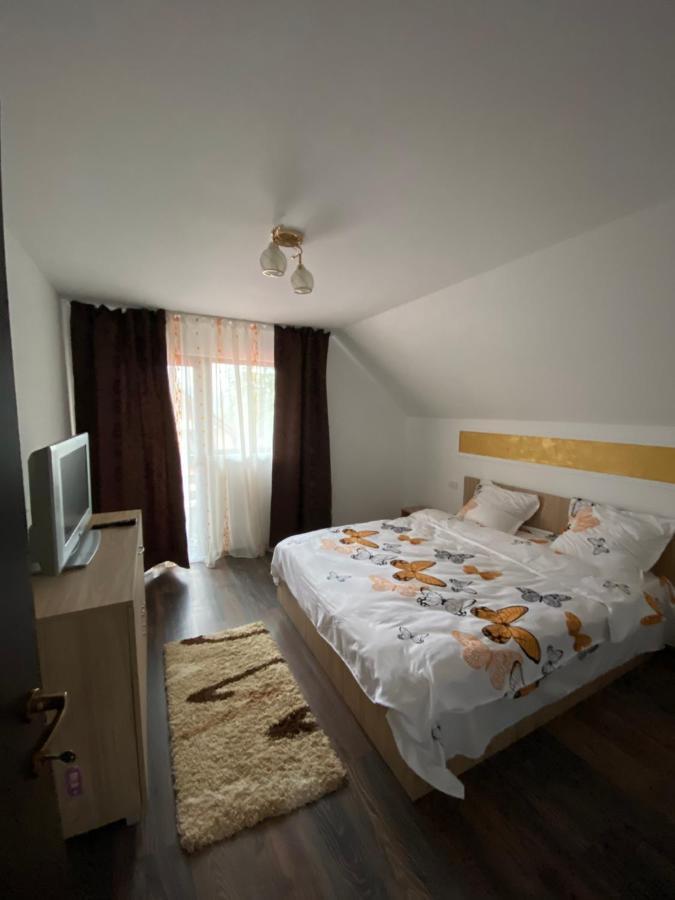 Vila Sorina Borşa 外观 照片