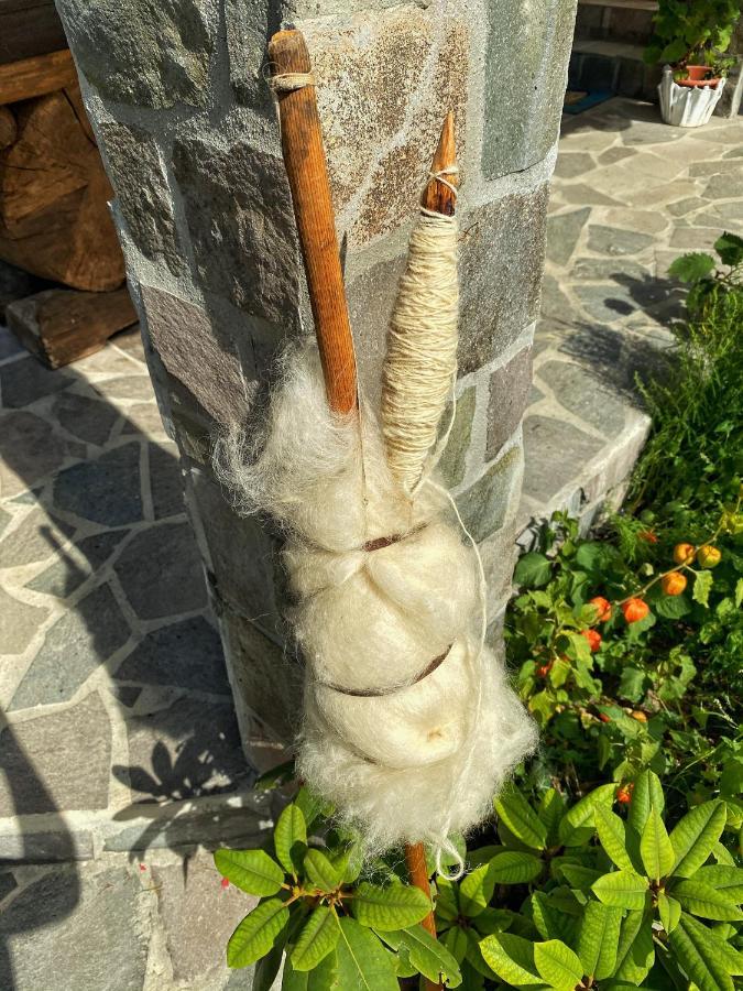 Vila Sorina Borşa 外观 照片