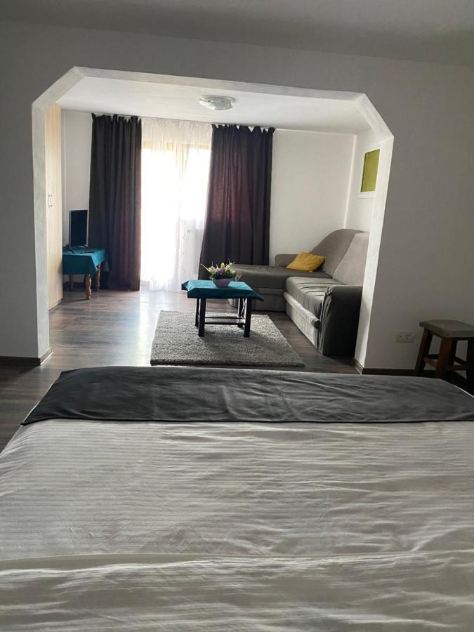 Vila Sorina Borşa 外观 照片