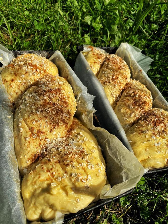 Vila Sorina Borşa 外观 照片