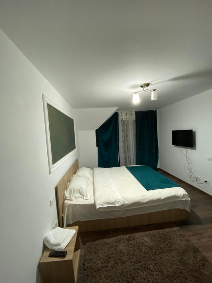 Vila Sorina Borşa 外观 照片