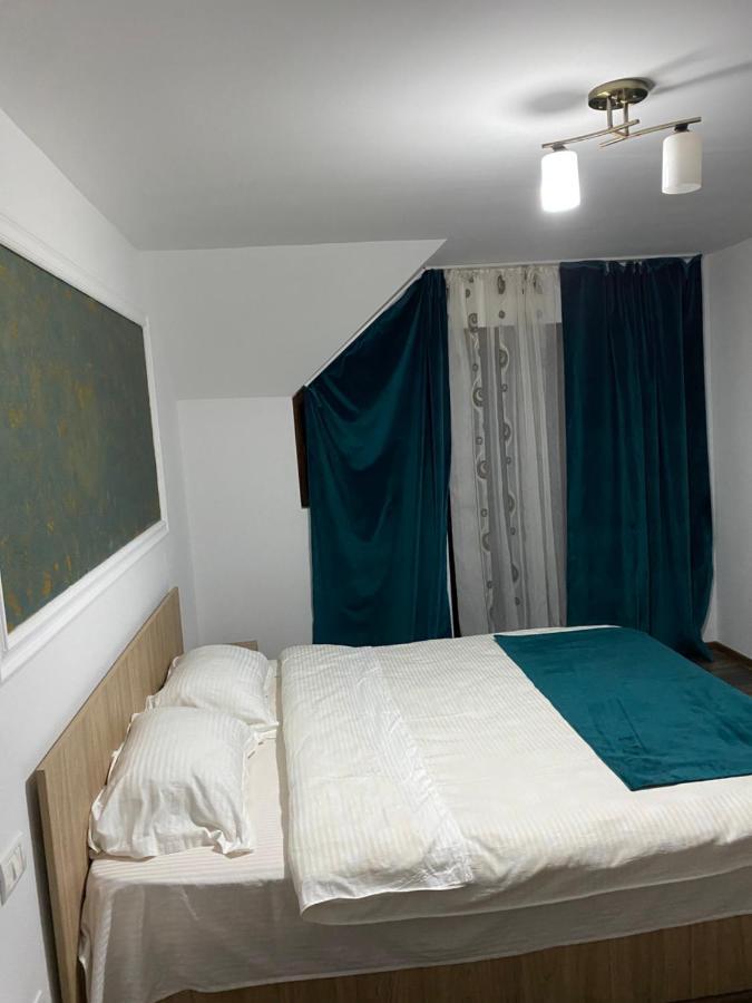 Vila Sorina Borşa 外观 照片
