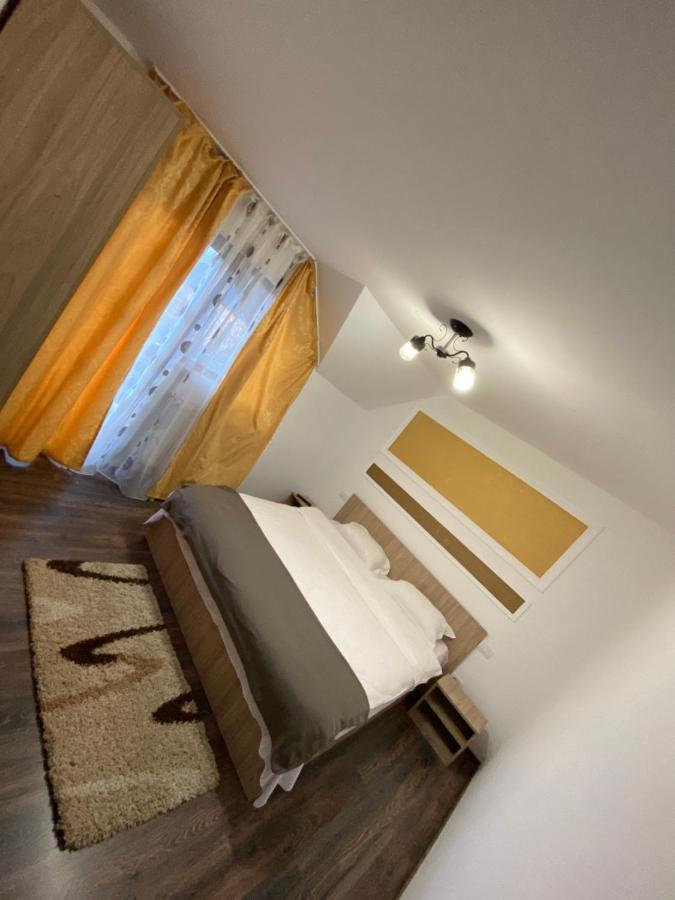 Vila Sorina Borşa 外观 照片