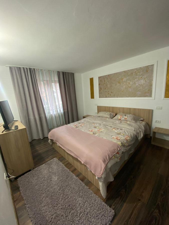 Vila Sorina Borşa 外观 照片