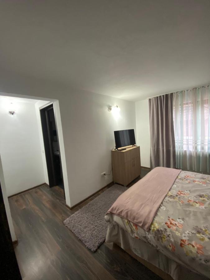 Vila Sorina Borşa 外观 照片