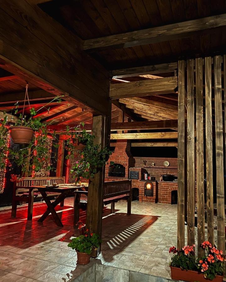 Vila Sorina Borşa 外观 照片