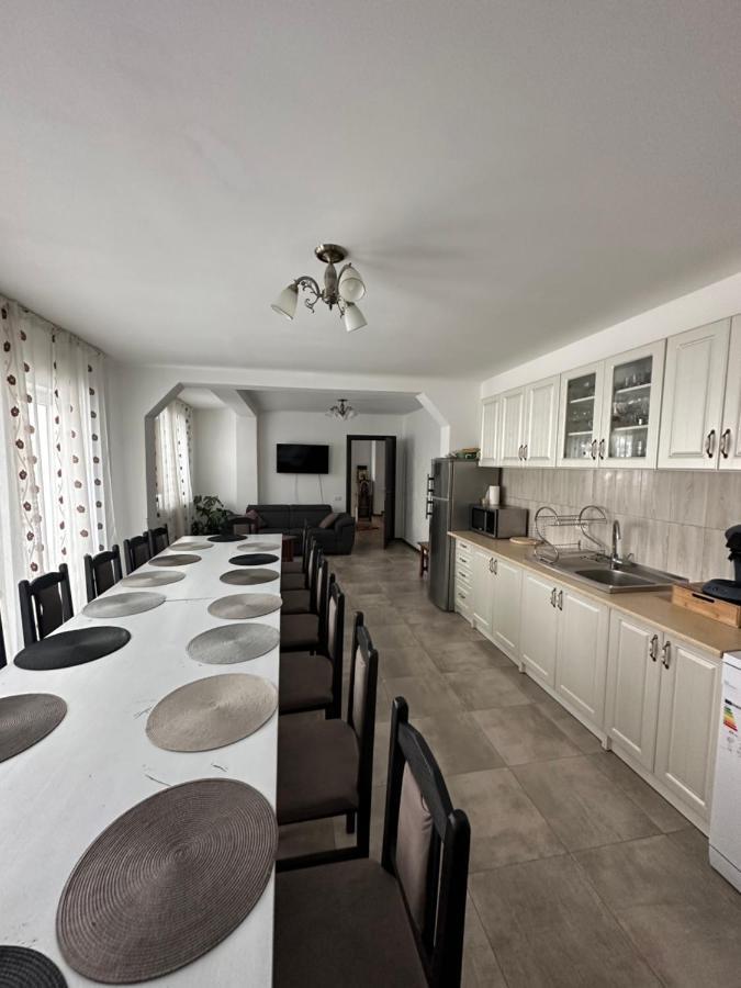 Vila Sorina Borşa 外观 照片