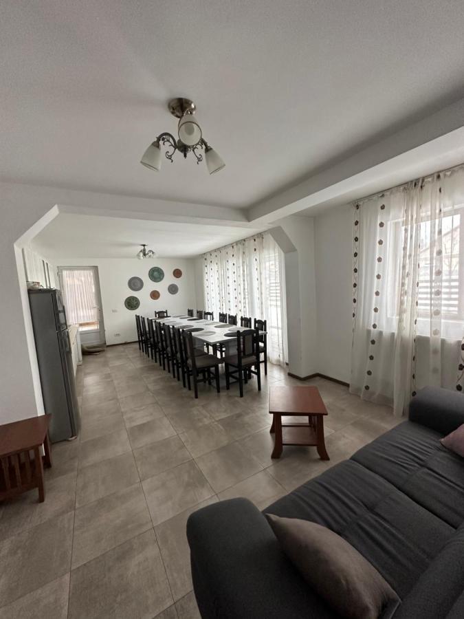 Vila Sorina Borşa 外观 照片