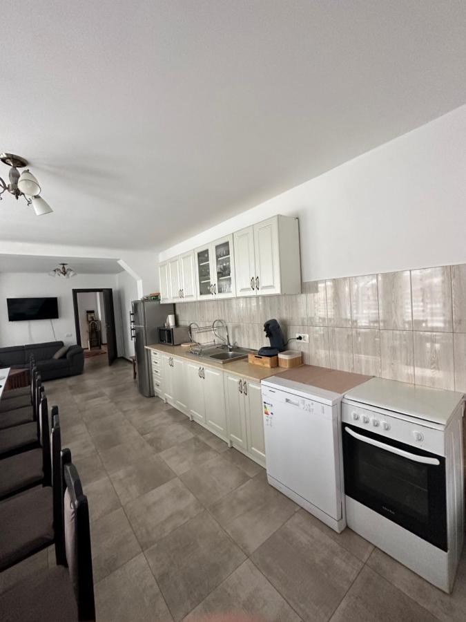 Vila Sorina Borşa 外观 照片